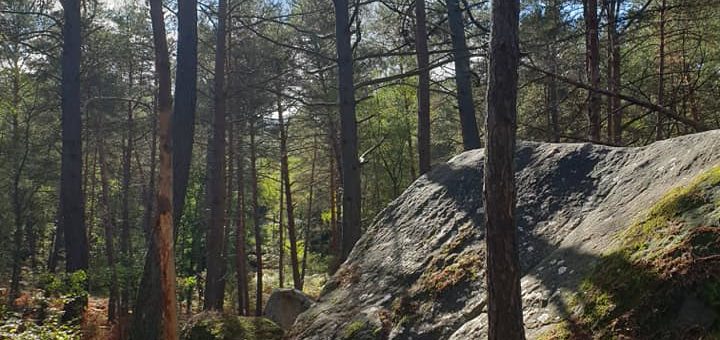 Sortie Buthiers – septembre 2024